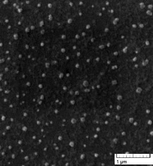 Imagen de Odoo y bloque de texto