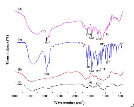 Imagen de Odoo y bloque de texto