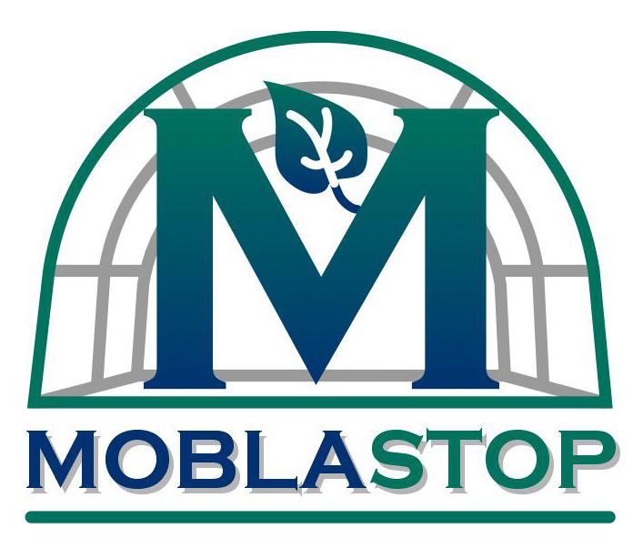 Imagen de Odoo y bloque de texto