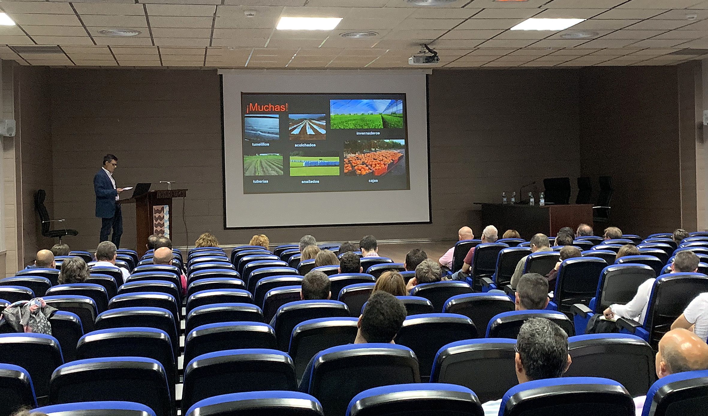 Odoo - Prueba 3 a tres columnas